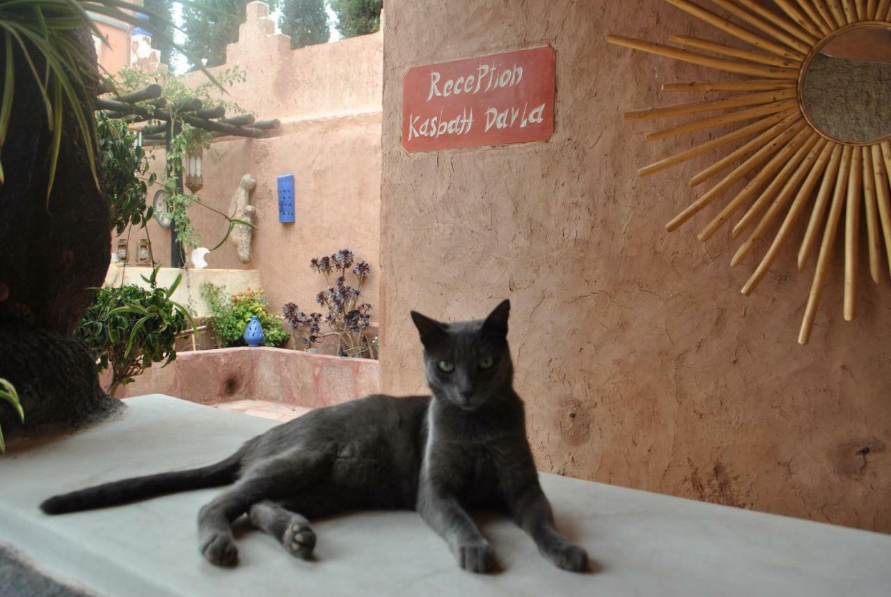 Auberge Kasbah Darla Tahannaout Extérieur photo