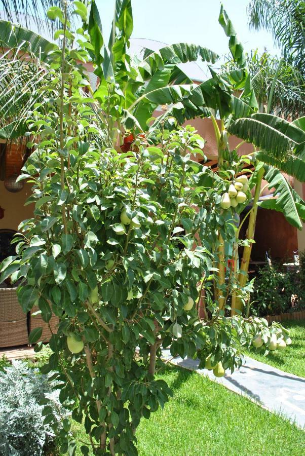 Auberge Kasbah Darla Tahannaout Extérieur photo